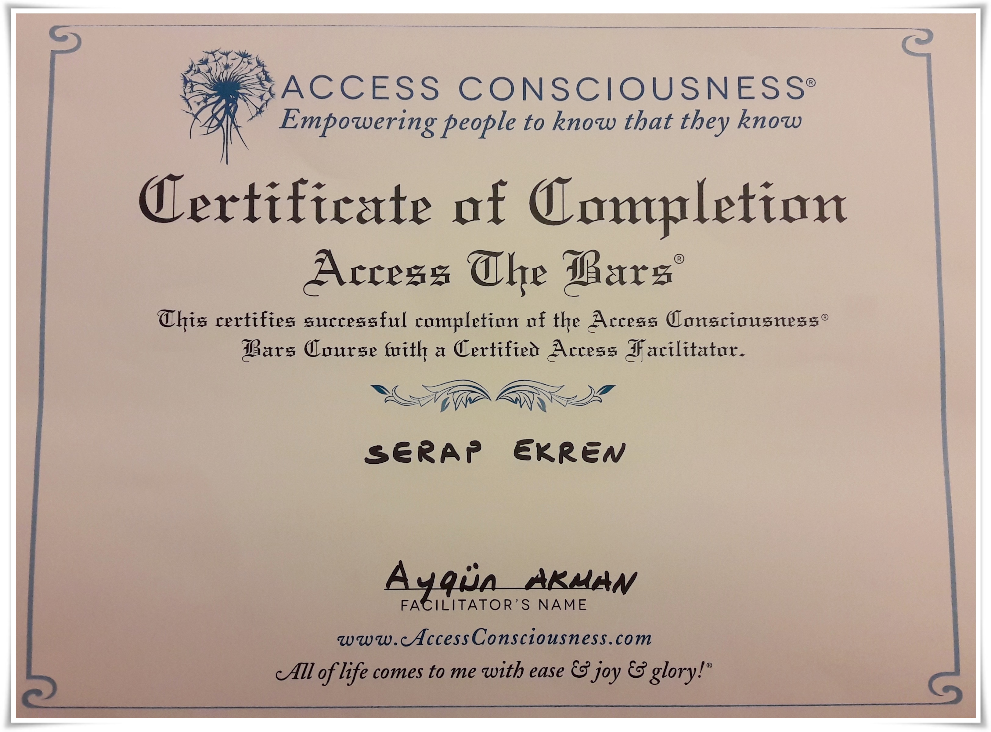 Access consciousness